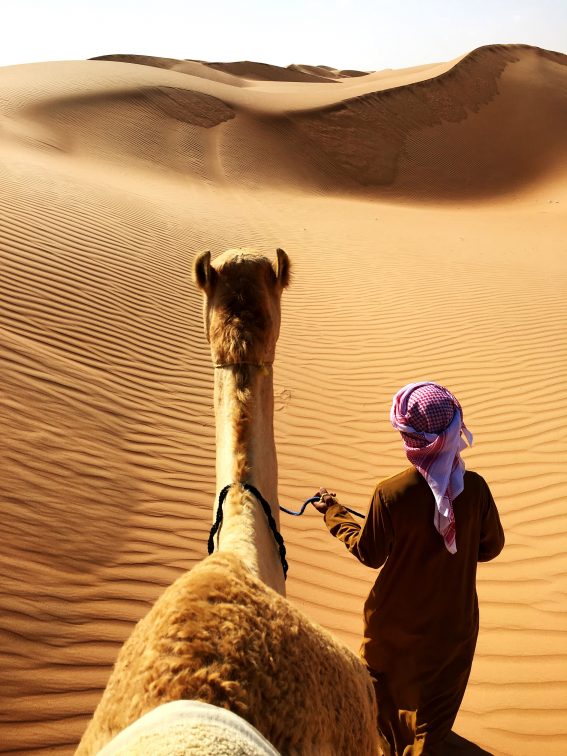 איש עם גמל במדבר
